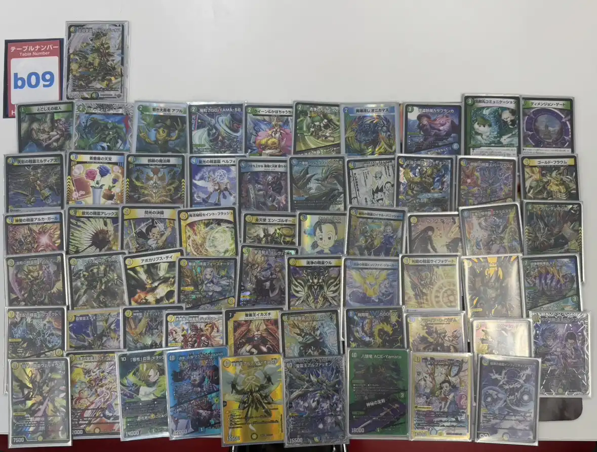 第1回 デュエパ太陽王決定戦 TOP13デッキリスト | 国内最大級デュエル